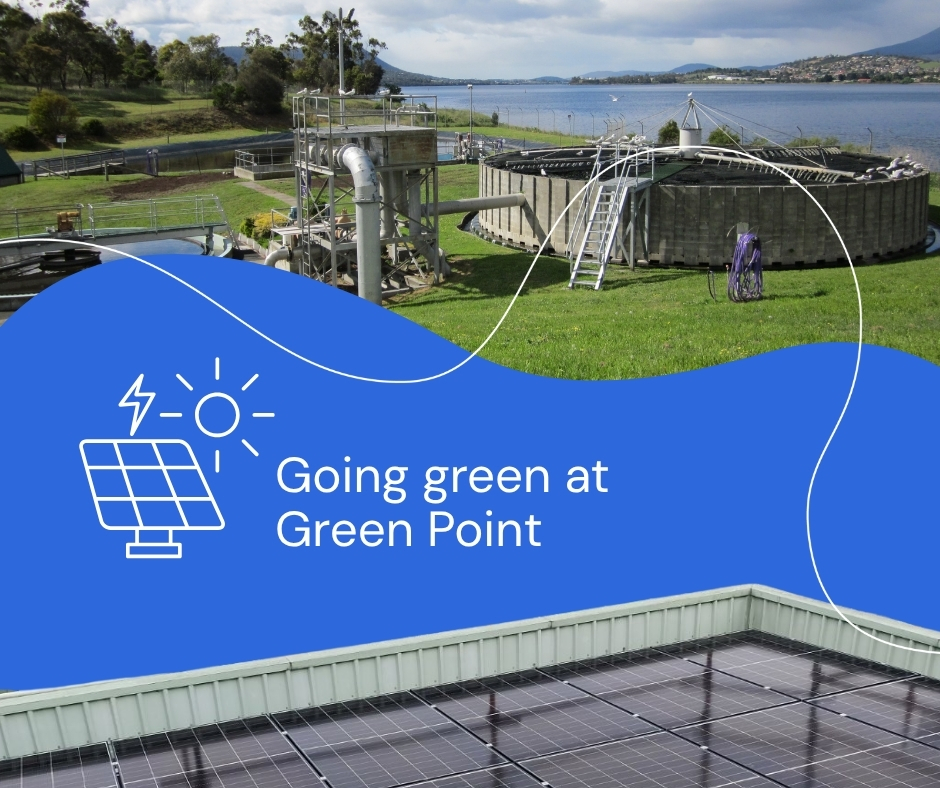 Going green at Green Point