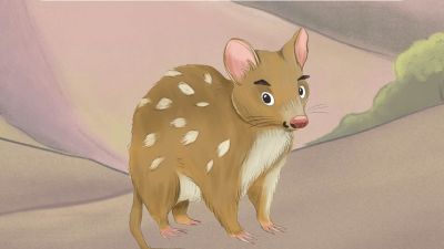 Cartoon character card of a quoll called Jasper