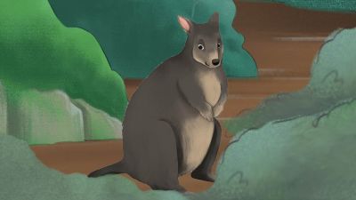 Cartoon character card of a pademelon called Paddy