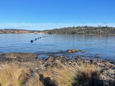 Pipeline construction underway