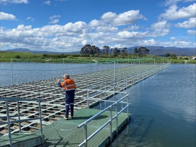 Floating wetlands inspection