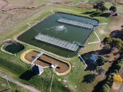 Aerial view of the floating wetlands at Ross