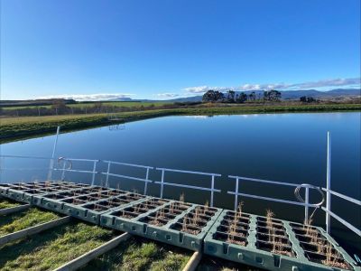 Floating wetlands platforms before being floated